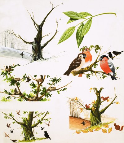 Das Jahr des Baumes von English School