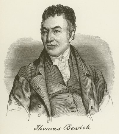 Thomas Bewick von English School
