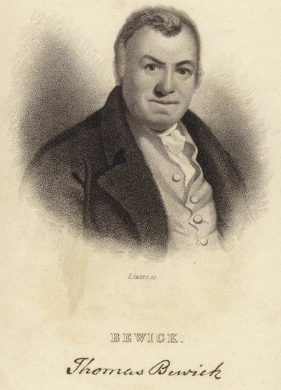 Thomas Bewick von English School