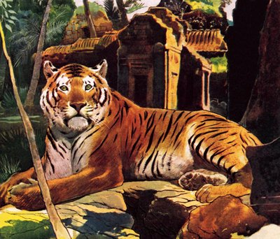 Tiger in den Ruinen von English School