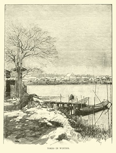 Tokio im Winter von English School