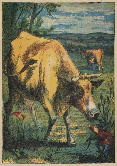 Däumling und die Kuh (Farblithografie) von English School