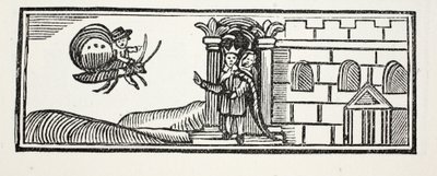 Tom versteckte sich und versuchte auf dem Rücken eines Schmetterlings zu entkommen, Illustration aus Chap-books des achtzehnten Jahrhunderts von John Ashton, veröffentlicht 1882 von English School