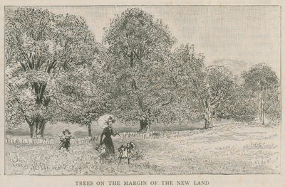 Bäume am Rand des neuen Landes von English School