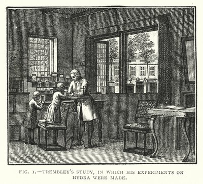 Trembleys Studie, in der seine Experimente an Hydra durchgeführt wurden (Gravur) von English School