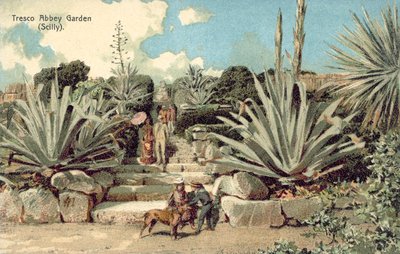 Tresco Abbey Garden, Scilly-Inseln, Cornwall von English School