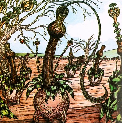 Triffids von English School