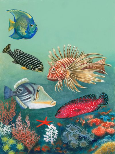 Tropische Fische von English School
