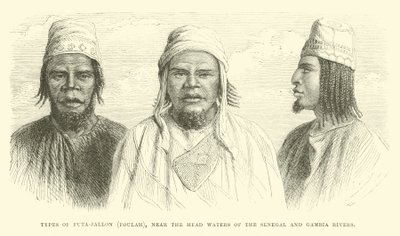 Typen von Futa-Jallon, Foulah, nahe den Quellgebieten der Senegal- und Gambia-Flüsse von English School