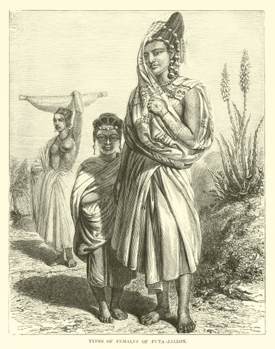 Typen von Frauen aus Futa-Jallon von English School