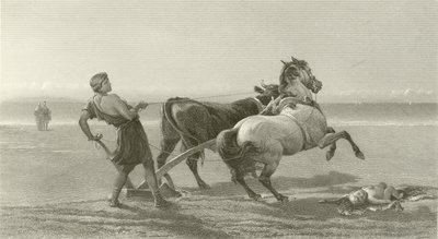Odysseus pflügt die Küste (Gravur) von English School