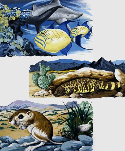 Unterwasserwesen und Maus von English School