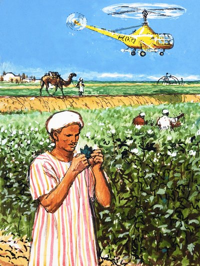 Unidentifizierter arabischer Bauer mit Kamel und Hubschrauber im Hintergrund von English School
