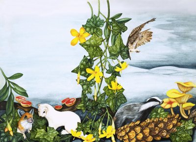 Unidentifizierte Pflanzen und Tiere, einschließlich Eule, Dachs und Wiesel von English School