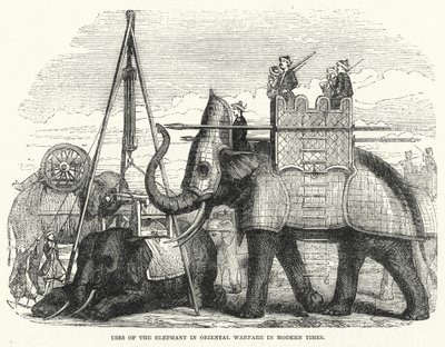 Verwendung des Elefanten in der orientalischen Kriegsführung in der Neuzeit von English School