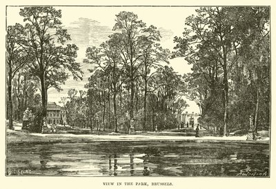 Ansicht im Park, Brüssel von English School