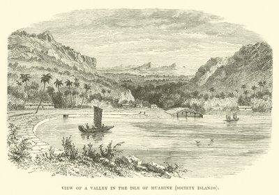 Blick auf ein Tal auf der Insel Huahine, Gesellschaftsinseln von English School