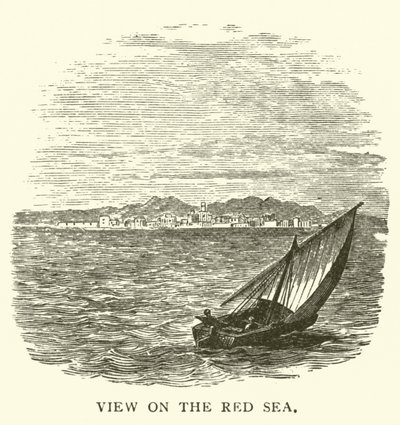 Blick auf das Rote Meer von English School