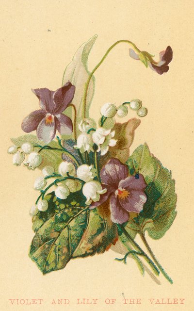 Veilchen und Maiglöckchen von English School