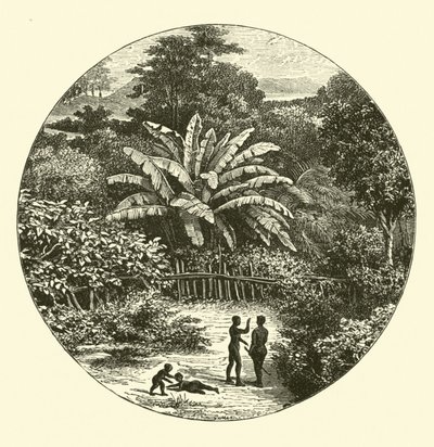 Westafrika von English School