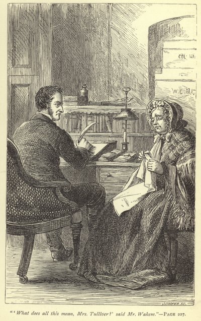 Was bedeutet das alles, Mrs. Tulliver? sagte Mr. Wakem von English School