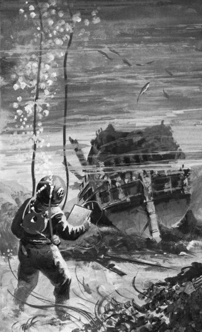 Als schwedische Marinetaucher hinabstiegen, fanden sie die Vasa in überraschend gutem Zustand von English School