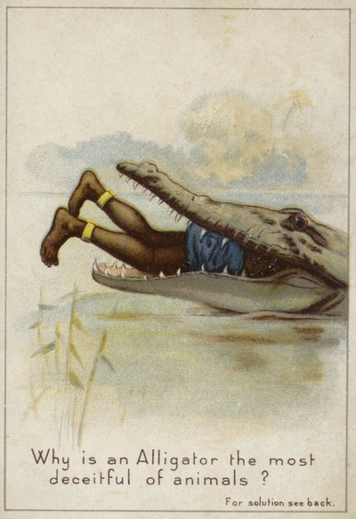 Warum ist ein Alligator das betrügerischste Tier? von English School