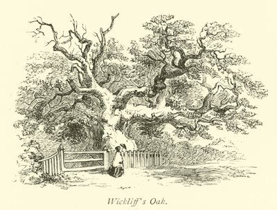 Wickliffs Eiche von English School
