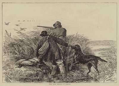Wildentenjagd in Norfolk von English School