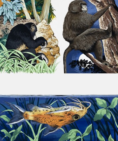 Montage von Wildtieren von English School