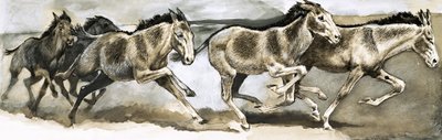 Gefährdete Tierwelt: Der Wildesel von English School