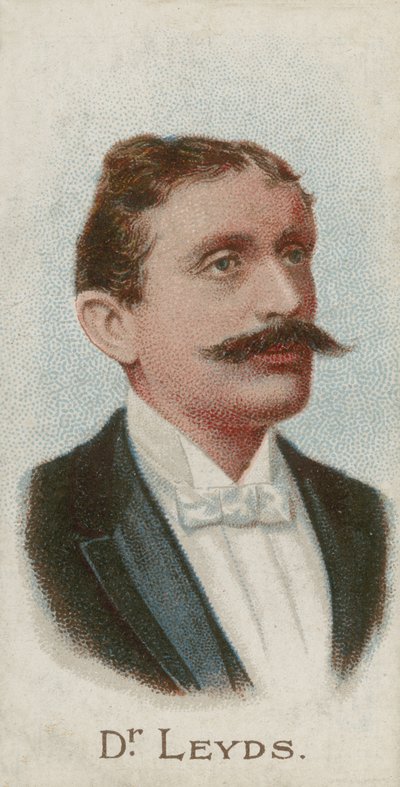 Willem Johannes Leyds, niederländischer Jurist und Staatsmann von English School