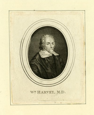 William Harvey von English School