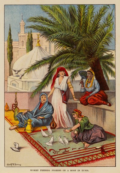 Frauen füttern Tauben auf einem Dach in Tunis von English School