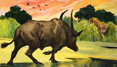 Wunder der Natur: Das wildeste Tier von allen von English School