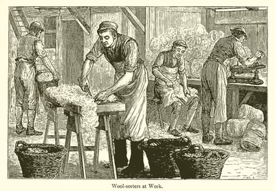 Wollsortierer von English School