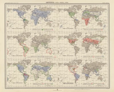 Zoogeographie: Amphibia, Anura, Urodela, Apoda (Farblithographie) von English School
