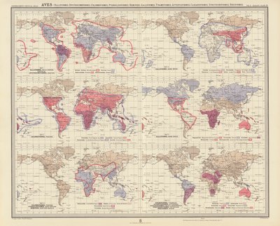 Zoogeographie: Aves, Ralliformes, Opisthocomiformes, Columbiformes, Pteroclidiformes, Hemipodii, Galliformes, Tinamiformes, Apterygiformes, Casuariiformes, Struthioniformes, Rheiformes von English School