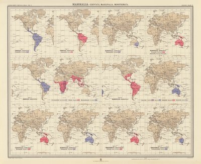 Zoogeographie: Säugetiere, Edentata, Beuteltiere, Kloakentiere von English School