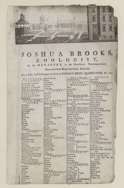 Zoologe, Joshua Brooks, Visitenkarte von English School