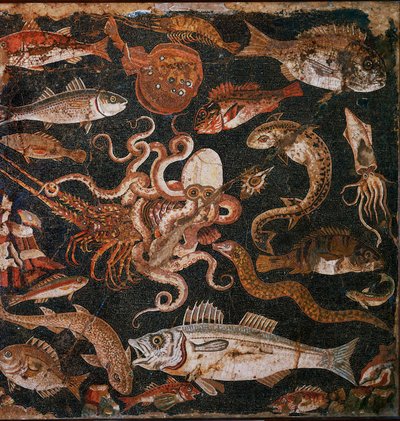 Unterwasserfauna. Mosaik aus Pompeji, Italien von Erich Lessing