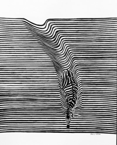 Zebra-Optische Täuschung von Erik Van Velzen