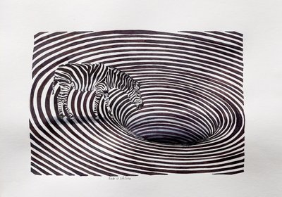 Zebra-Vortex-Täuschung von Erik Van Velzen