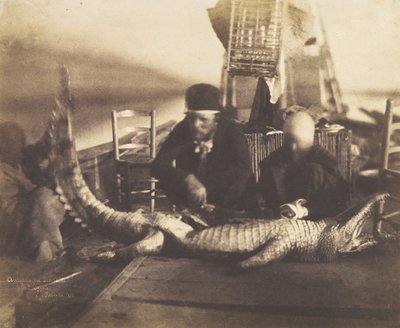 Autopsie des ersten Krokodils an Bord, Oberägypten, 1852 von Ernest Benecke