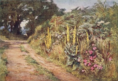 Das Herz der Hecke von Ernest Benger or Berenger