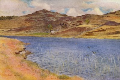 Loch Howie oder Wee von Ernest Edward Briggs