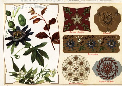 Bilder von Jasmin und Passionsblume aus Manuskripten und deren Anwendung von Ernest Guillot