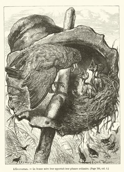 LEpouvantail, Die gute Mutter brachte ihnen ihre übliche Mahlzeit von Ernest Henry Griset