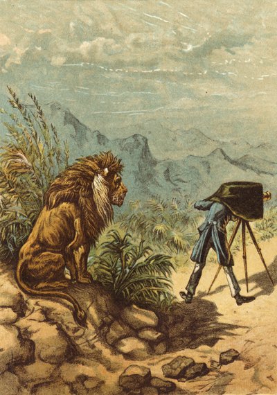 Vielversprechender Ausblick, Löwe beobachtet Fotografen (Chromolithographie) von Ernest Henry Griset