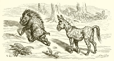 Der Eber und der Esel von Ernest Henry Griset
